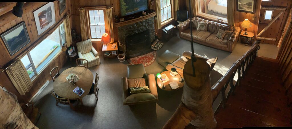 rustic cabin living room
