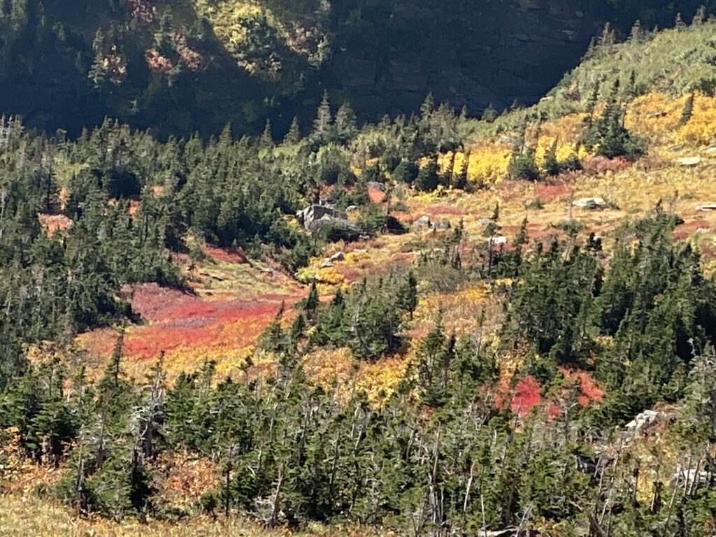 mountain landscape with fall colors
