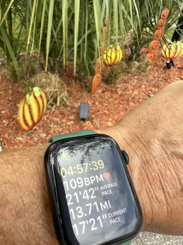 Apple Watch stopwatch screenshot